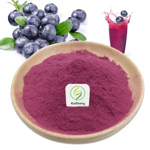 Giá tốt nhất chất lượng cao cung cấp 25% anthocyanidin Bilberry bột trái cây Bilberry chiết xuất