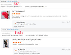 Abanico Grande de Plumas de Avestruz Rojas Hecho a Mano para Boda, Carnaval y Baile Burlesque, Suministros para Fiestas - Product Image 5