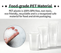 Fabrieksdirect aangepaste bedrukking BPA-vrije PET beker met deksel, luchtdicht, 10oz 12oz 16oz 20oz voor milkshake, cold brew, food delivery, OEM