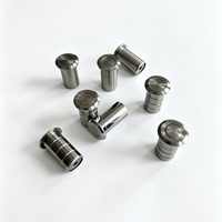 Boulon de fixation encastré au sol en laiton et acier inoxydable, finition chrome poli, anti-poussière, durable pour porte coulissante