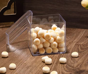 Hộp đựng đồ ăn bằng nhựa trong suốt mini, bán buôn, dùng làm hộp đựng kẹo, quà tặng, bánh ngọt, bánh snack, làm bằng acrylic - Product Image 2