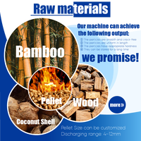 Máquina de pellets de bambú de cáscara de paja de biomasa RICHI, máquina de fabricación de pellets de bambú de madera personalizada de 3-4t/h para quemar pellets