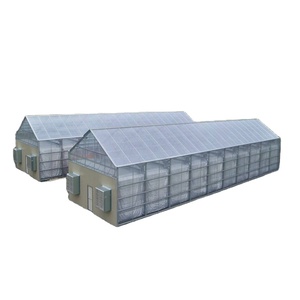 Serre de privation de lumière entièrement automatique en gros de Offre Spéciale de Sainpoly à faible coût pour l'agriculture spéciale - Product Image 1
