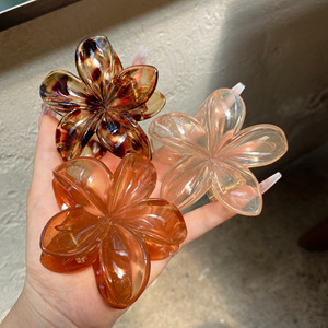 Ensemble de pinces à <span class=keywords><strong>cheveux</strong></span> fleur d'oeuf violet Bauhinia <span class=keywords><strong>pince</strong></span> requin pour tête arrière accessoires pour <span class=keywords><strong>cheveux</strong></span> de fille en plastique résine - Product Image 5
