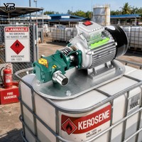 WCB 50 Gusseisen-Zahnradölpumpe 50 LPM 0,3 MPa 0,75 KW Legierungsstahl-Zahnrad-Kraftstoffpumpe 2800 U/min Mit Motor Mit Griff