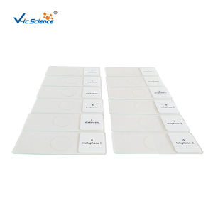 <span class=keywords><strong>Cebolla</strong></span> antera meiosis 12PCs <span class=keywords><strong>microscopio</strong></span> preparado botánica diapositivas - Product Image 6