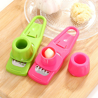 Moulin à ail multifonctionnel pour la maison Outil de cuisine créatif pour la presse manuelle Peeling New Condition (PP) Ginger Press Tool