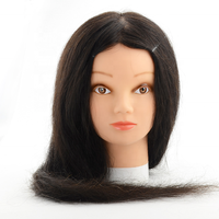 Tête d'entraînement/tête de mannequin tête d'entraînement nouvelle tête d'entraînement de coiffure/tête de mannequin