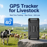 Collier GPS pour Bétail avec Historique de Navigation, Alarme de Batterie Faible, Traceur GPS Bétail Beidou LBS, Localisateur d'Animaux Antichoc Compatible PC