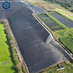 बीपीएम जियोसिंथेटिक्स जियोमैम्ब्रन लाइनर कंपनियों 60 मिल हैडप लाइनर लागत - Product Image 3