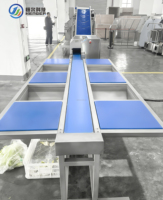 304 roestvrij staal industriële 1000 kg saladekool wassen drogen snijden verpakken productielijn met CE