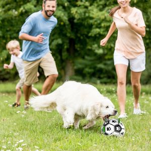 Kinyu stokta orijinal fabrika Dropshipping klasik oyuncaklar interaktif köpek futbol futbol topu orta ve büyük köpek için Tab ile - Product Image 3