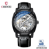 CHENXI 8825 Klassische Royal Skeleton Design Herrenuhren Wasserdicht Leuchtend Retro Automatik-Aufzug Mechanische Armbanduhr für Männer