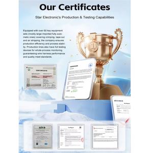 電気配線ハーネス2ピン6.3mmコネクタワイヤーハーネス - Product Image 6