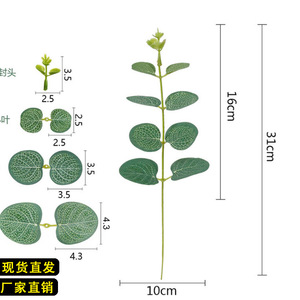 <b>Artificial</b> Eucalyptus Leaf <b>Stem</b> 31cm High Simulation Indoor Wedding Decoration Silk Flower Single Piece Package - Product Image 1