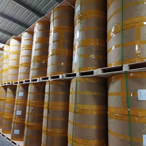 Papel para Folletos Farmacéuticos al por Mayor de 28-60 g/m², Papel Bíblico de Alta Opacidad PPI para Publicación de Libros - Product Image 5