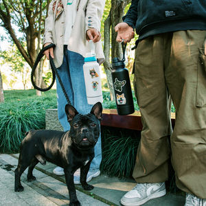 Nuevo Bebedero Portátil 3 en 1 para Perros y Mascotas con Tazón Plegable para Uso al Aire Libre Botella de Acero Inoxidable - Product Image 2