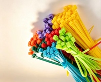 Attaches de câble autobloquantes en nylon PA66 pour câbles électriques, plusieurs couleurs/tailles, légères et faciles à utiliser, -40~+85, attaches de câble