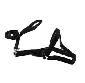 2025年 ホットベストセラー ジェントルリーダー ノープル ナイロン製 犬用首輪とリードセット トレーニング用-ファッショナブルスタイル - Product Image 5