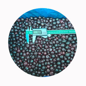 Exportateur fiable de mûres <span class=keywords><strong>surgelées</strong></span> IQF |   Approvisionnement en vrac dans 35 pays |   Qualité constante et <span class=keywords><strong>prix</strong></span> CIF compétitifs - Product Image 3