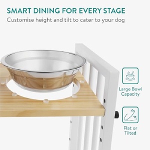 Çift Katlı Ekolojik Dostu Kedi Mamalıkları Yükseltilmiş Kedi Mama Kabı Seti Bambu Standlı İç Mekan Kedileri Küçük Köpekler Evcil Hayvan Mama ve Su Kapları - Product Image 4