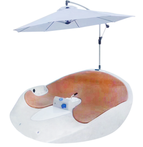 Tour <span class=keywords><strong>de</strong></span> loisirs en plastique Aqua Boat pour la <span class=keywords><strong>location</strong></span> <span class=keywords><strong>de</strong></span> bateaux électriques - Product Image 5