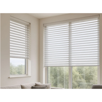 Persianas para Ventanas, Persianas de Lujo para el Hogar, Persianas Automáticas Tipo Zebra, Persianas Inteligentes, Cortinas y Contraventanas