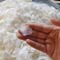 1kg putih kualitas terbaik dipilih tangan alami bunga kering yang diawetkan daun besar putih kelopak hidrangea untuk konfeti pernikahan