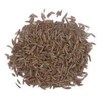 Graines de Cumin Séchées en Vrac de Haute Qualité à Prix Raisonnable