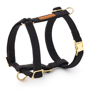 High End Dog Harness berjalan Set termasuk kenyamanan kapas Fit Harness tahan lama bulat tali nilon dan nyaman kotoran tas Carrier - Product Image 2
