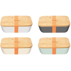 OEM Design Metal Kids Bento Lunch Box With Bamboo Cutting Board Lid Japanese Bento Box