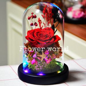 Заводская поставка, Подарочная коробка с натуральными цветами, настоящая сенсорная вечная роза, сохраненные цветы навсегда, стеклянный купол, светодиодный светильник на Рождество - Product Image 3