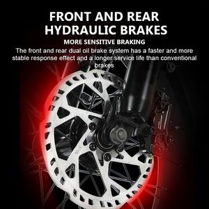 โครงจักรยานไฟฟ้าขายส่งจากโรงงาน ขนาด 20 นิ้ว จักรยานไฟฟ้าสามล้อราคาถูก จักรยานไฟฟ้าแบบวิบากสำหรับขาย - Product Image 6