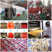 Hoge Kwaliteit Warmtepomp Droger Fruit Droogmachine Ananas Droogmachine Moerbei Droger Bosbessen Dehydrator