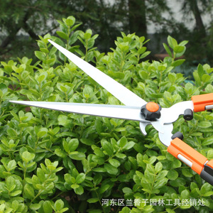 Basil Telescopic Hedge <b>Shears</b> 33Cm Sk5 Steel Straight Edge Manual Gardening <b>Tools</b> For Pruning And Trimming - Product Image 4