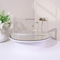 Produit phare : Bloc de résine de taxidermie avec plantes réelles, spécimen en acrylique, jouets éducatifs pour l'enseignement