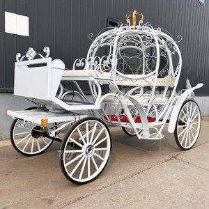 Carruaje de caballos de hierro hueco blanco con cojín rosa para ceremonias románticas, sesiones fotográficas al aire libre y exposiciones comerciales - Product Image 6