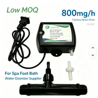 Générateur d'ozone 12V DC basse tension pour spa, 800mg/h, purificateur d'eau sans produits chimiques, ozoniseur O3 pour bain froid et spa, usage industriel