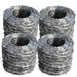 Filo Spinato in Ferro Calibro 16, Rotolo da 500m con Punte Gratuite, Prezzo Conveniente per Recinzioni e Cancelli, Campioni Gratuiti Disponibili - Product Image 5