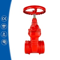 Katup Gerbang Z85X-16Q Merah Beralur dengan Seal Lunak Non-Rising Stem, Standar GB, untuk Pengolahan Air dan Pemadam Kebakaran