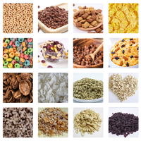 Flocons de maïs grillés/Morningside Crunch Golden Flakes Fournisseur de machines Distributeur multifonctionnel de machines à grains de petit déjeuner