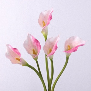 Chất lượng cao nhân tạo cảm ứng thực sự hoa Silicone <span class=keywords><strong>Calla</strong></span> Lily cho trang trí nội thất - Product Image 5