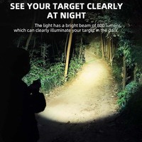 Lampe torche tactique compacte et légère, lumière laser bleu-vert, viseur laser rouge, combo 800 lumens