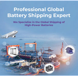 Agente de envío de baterías de China DHL/UPS/FEDEX Transporte seguro desde China a Filipinas, Corea del Sur, Taiwán, Camboya - Product Image 2