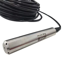 Intelligenter 0-5V 4-20mA RS485 Tauchfähiger Wassertank-Füllstandsensor CE ISO Zertifiziert 0,5% FS Genauigkeit 5m Kabel für Grundwasserpegel