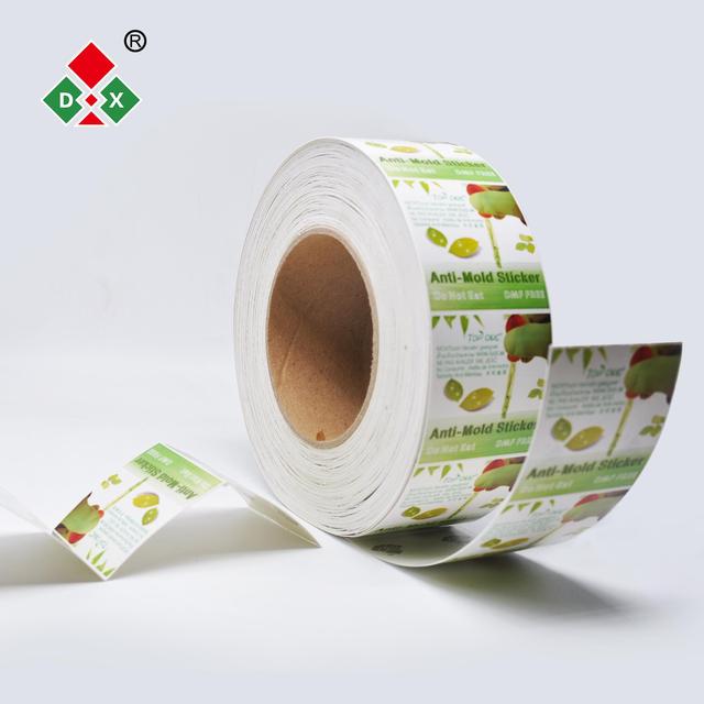 TOP ONE Anti-mold Chip, Anti-mold Stickers for Shoes, Handbags, Wallets