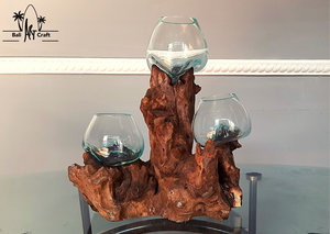 Clear Desktop Round Vases Fish <strong>Terrarium</strong> Glass Bowl Jar <strong>Terrarium</strong> DIY <strong>Kit</strong> With Two Plants Other Landscaping Decking - Product Image 5