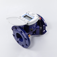 Compteur d'eau intelligent AMR AMI R250 sans fil en vrac à ultrasons NWM Dn50 ~ Dn300