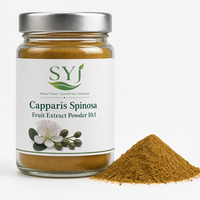 Poudre de saponine de thé 4:1 - Extrait de graines de Camellia Sinensis, extrait végétal naturel pour les soins personnels et l'utilisation alimentaire