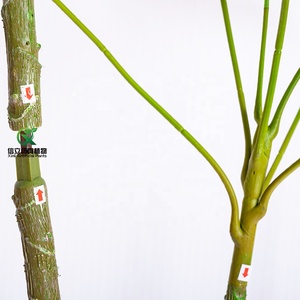 Planta Artificial Decorativa para Interiores, Tipo <span class=keywords><strong>Schefflera</strong></span> Microphylla Merr, con Hojas Grandes, <span class=keywords><strong>de</strong></span> Plástico Ecológico, 120 cm - Product Image 4